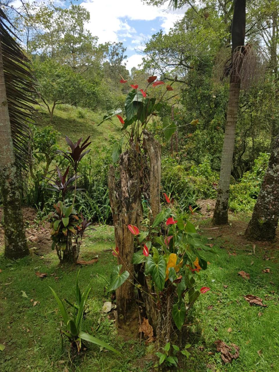 Finca La Esperanza Loma Linda Villa San Francisco  Exterior foto